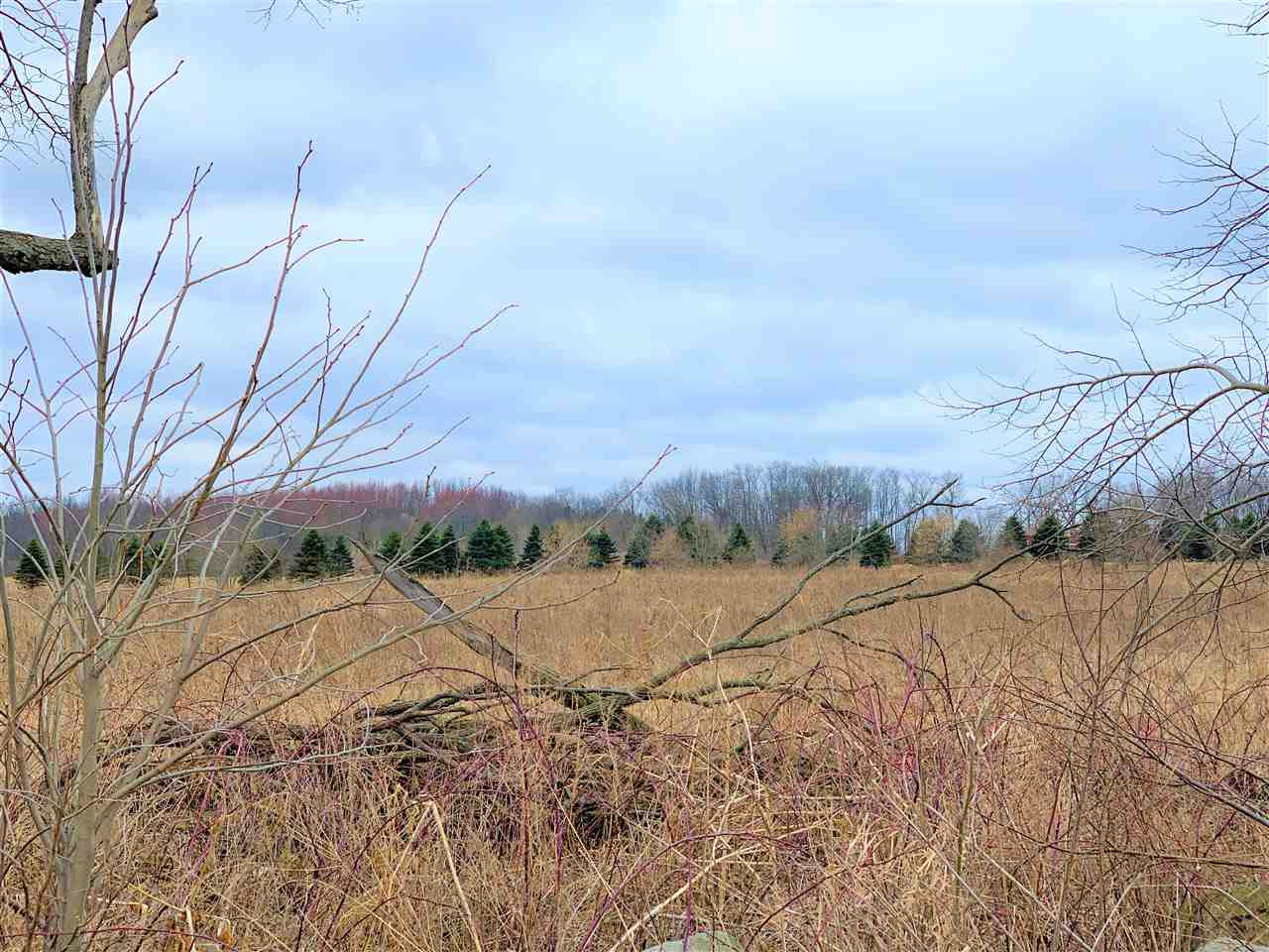 East Fitchburg Road Stockbridge, MI 49285 - Photo 2 of 5 Photo 2