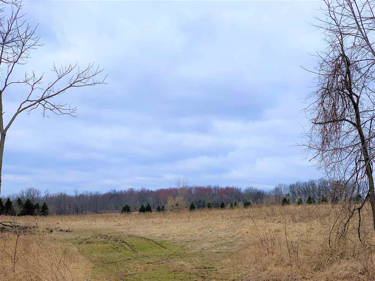 East Fitchburg Road Stockbridge, MI 49285 - Photo 4 of 5 Photo 4
