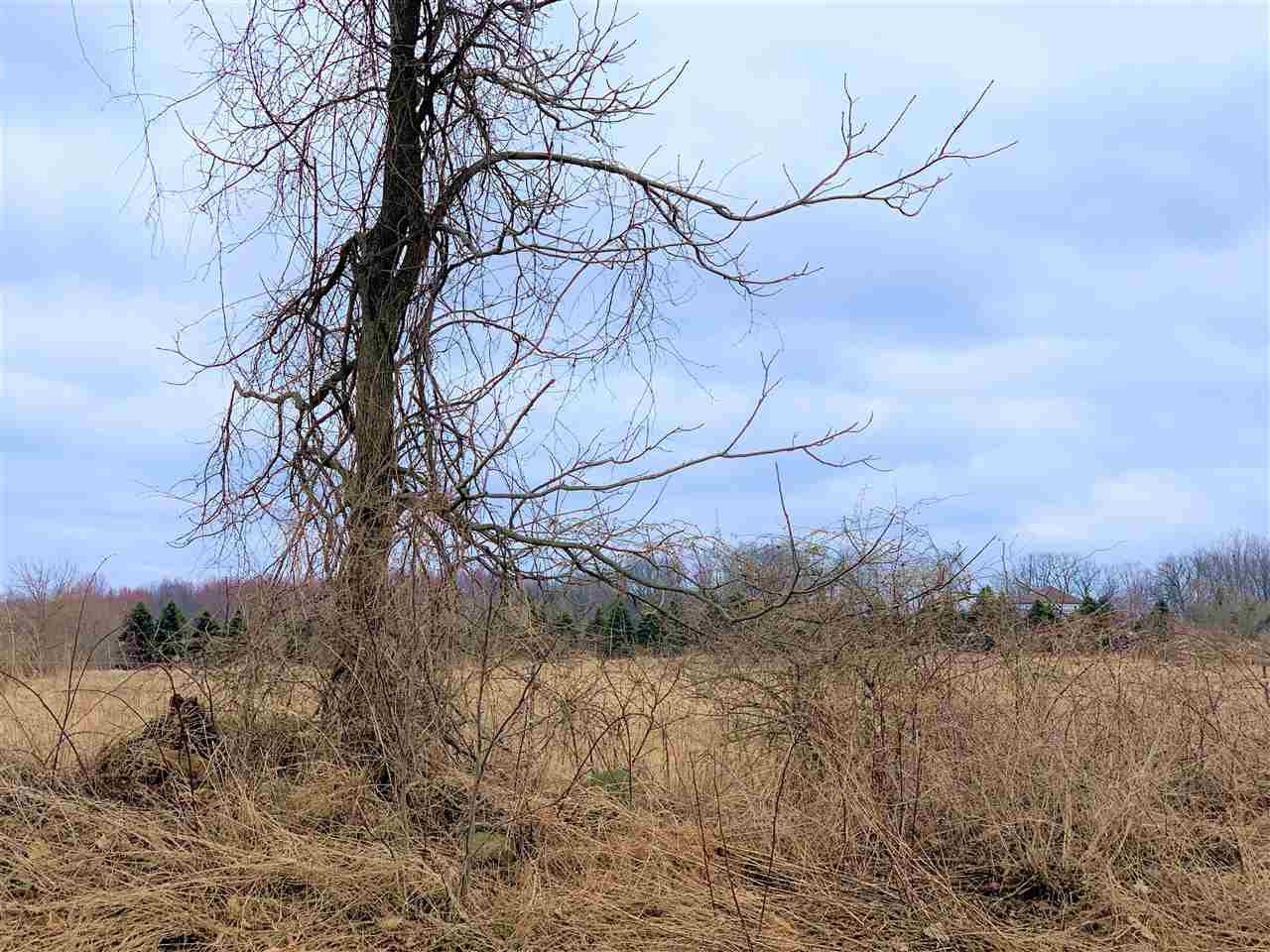 East Fitchburg Road Stockbridge, MI 49285 - Photo 5 of 5 Photo 5