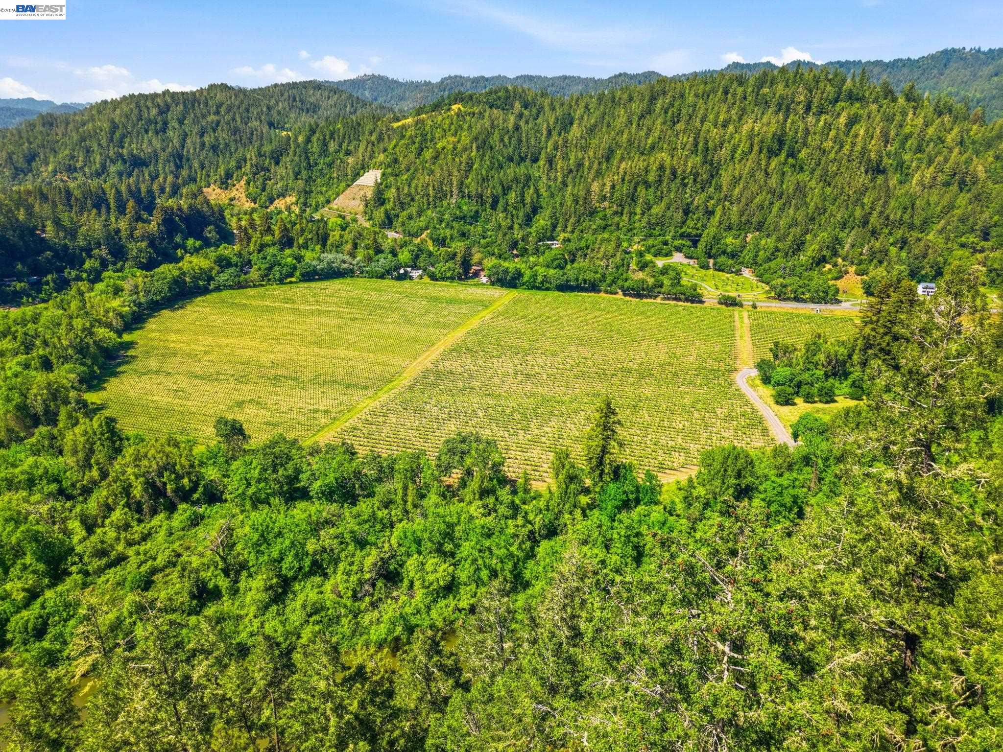 11700 Oak Road Forestville, CA 95436 - Photo 19 of 20 a view of a field with an ocean view