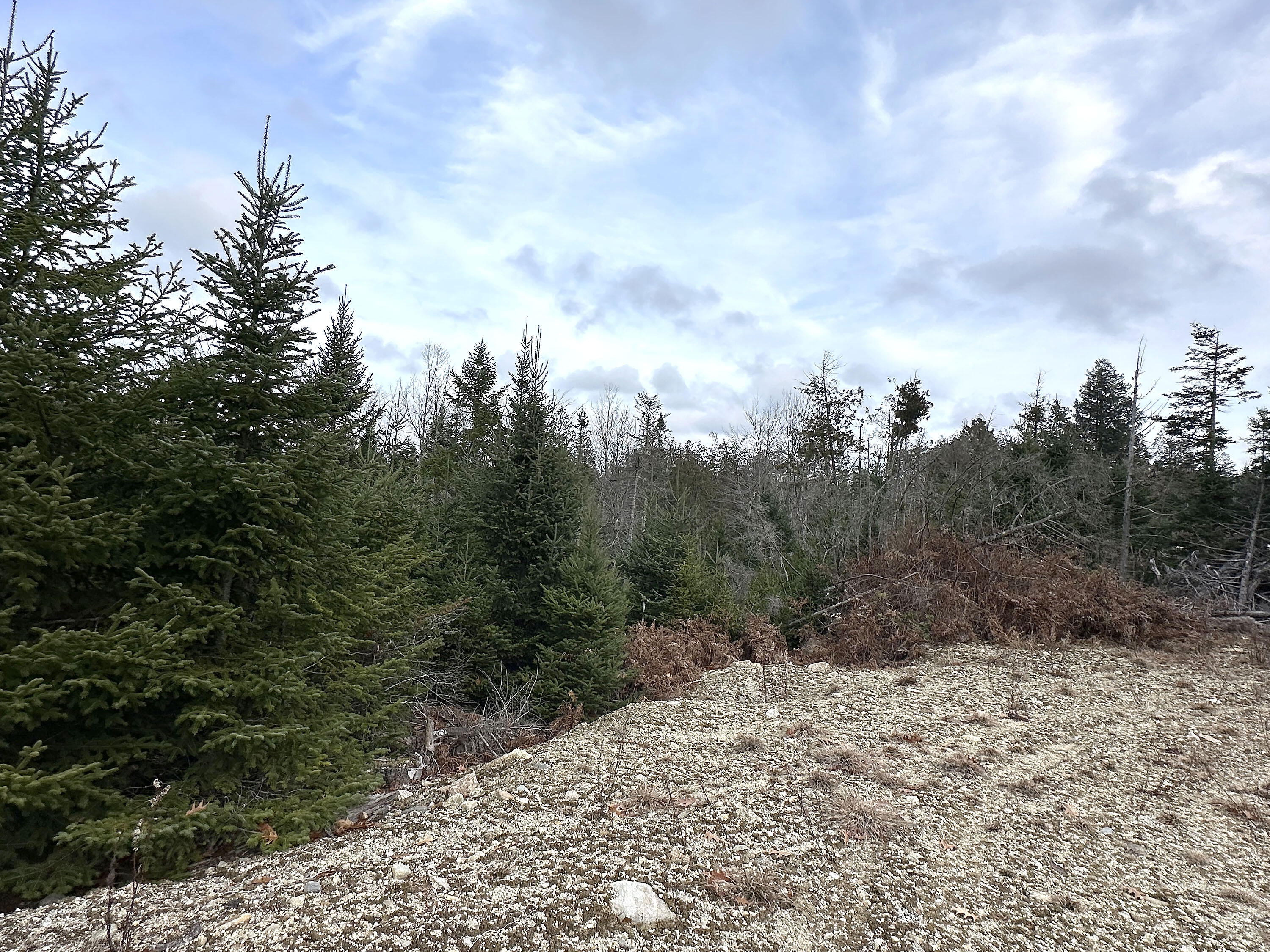533 A Range Road Blue Hill, ME 04614 - Photo 12 of 26 533A RangeRoad_011