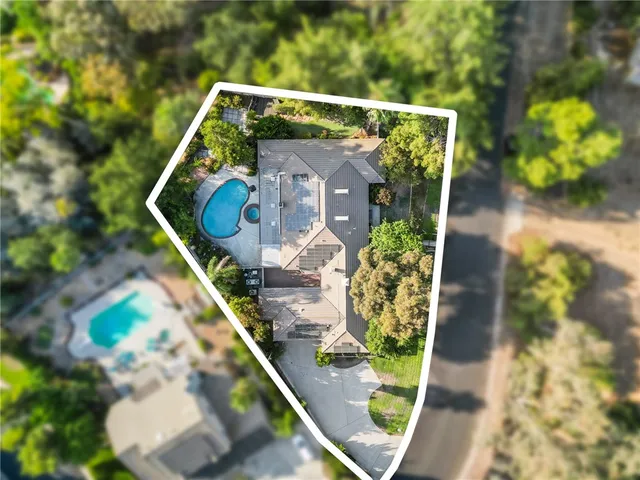 a view of a street with potted plants and large trees