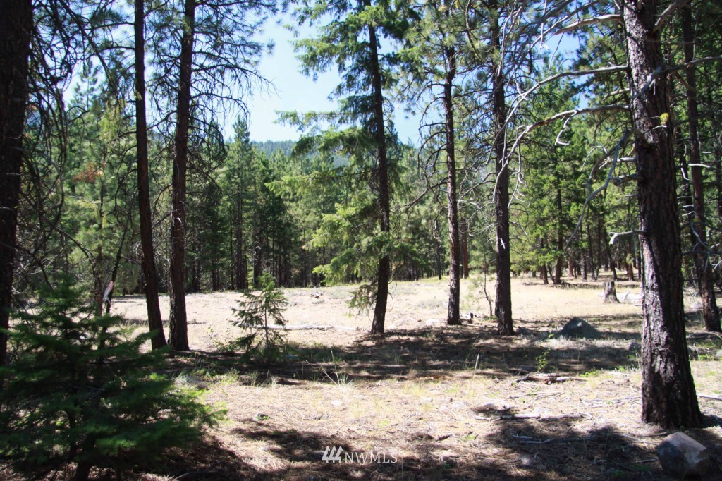59 Lost River Road Mazama, WA 98833 - Photo 12 of 22 Gallery Image 12