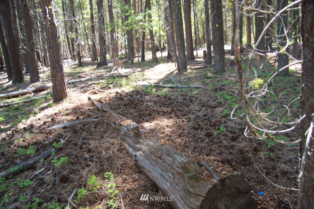 59 Lost River Road Mazama, WA 98833 - Photo 13 of 22 Gallery Image 13