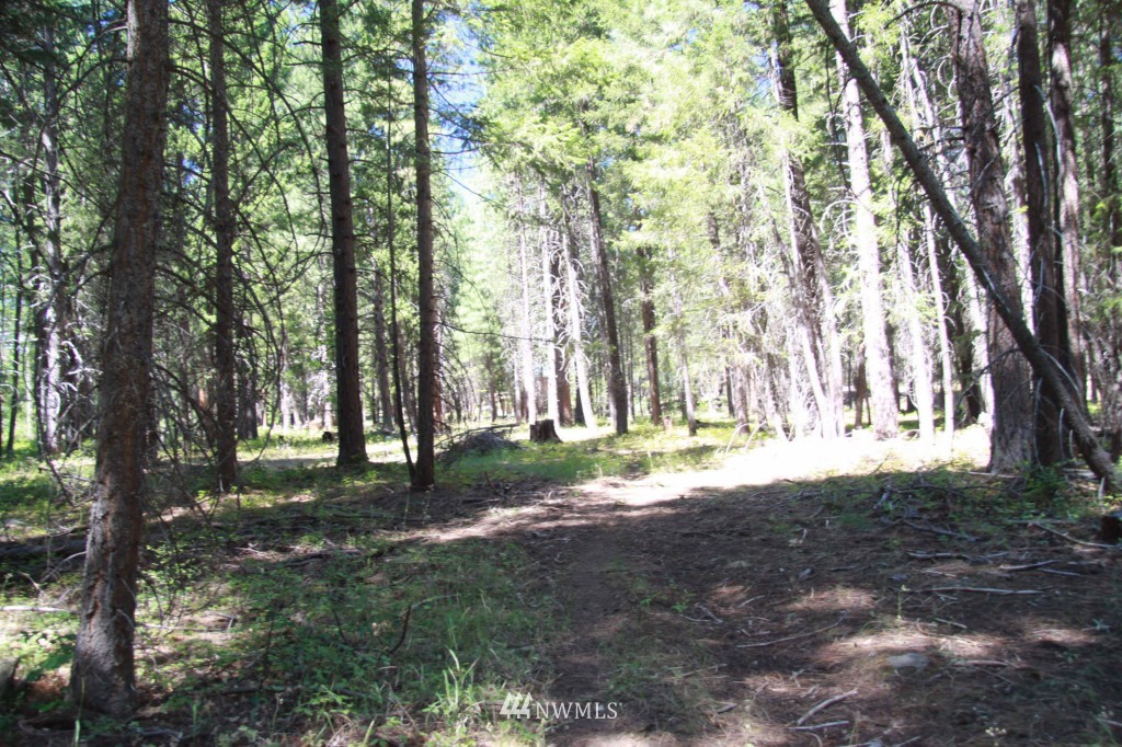 59 Lost River Road Mazama, WA 98833 - Photo 14 of 22 Gallery Image 14