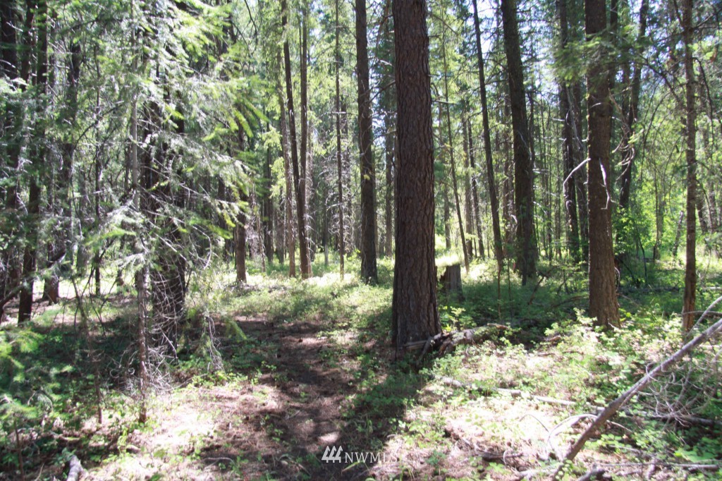 59 Lost River Road Mazama, WA 98833 - Photo 15 of 22 Gallery Image 15