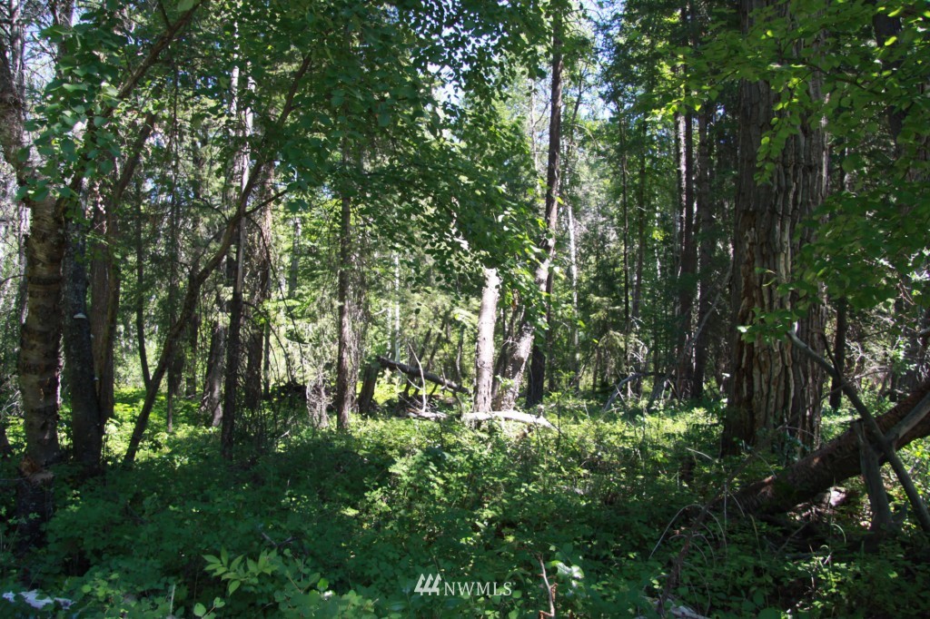 59 Lost River Road Mazama, WA 98833 - Photo 20 of 22 Gallery Image 20