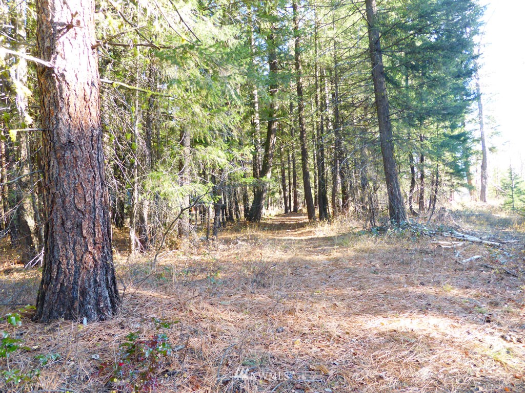 59 Lost River Road Mazama, WA 98833 - Photo 5 of 22 Gallery Image 5
