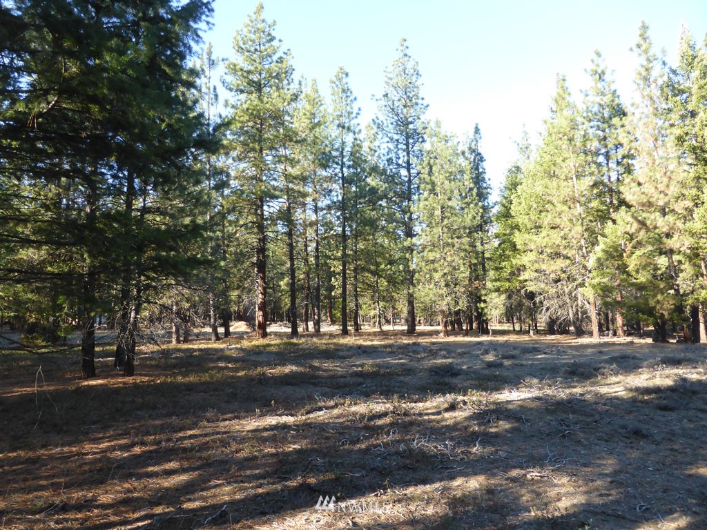 59 Lost River Road Mazama, WA 98833 - Photo 6 of 22 Gallery Image 6