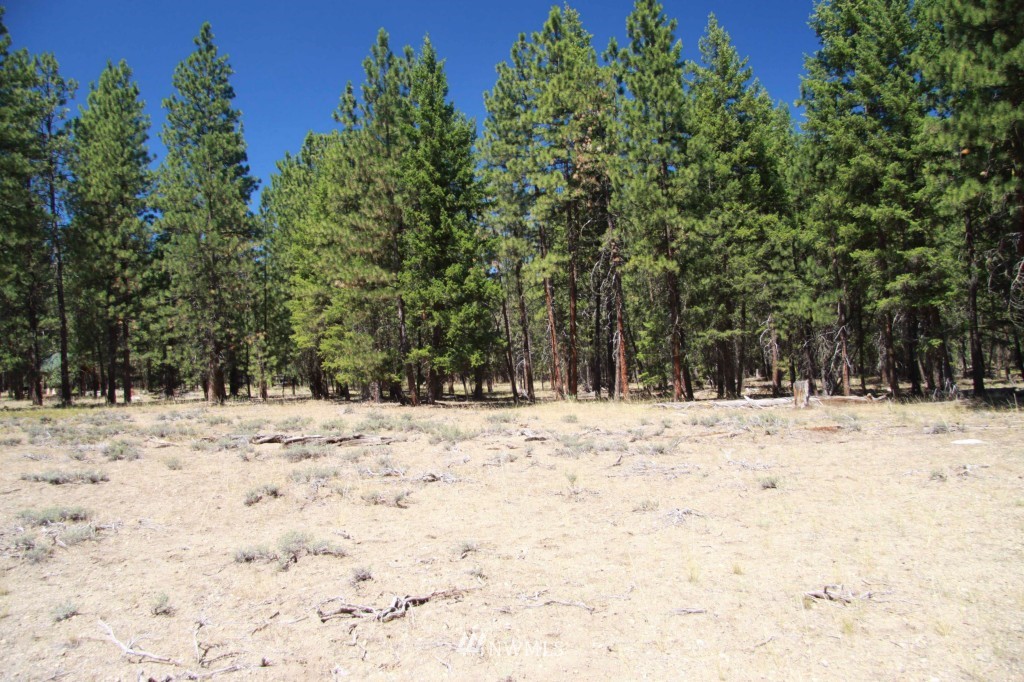 59 Lost River Road Mazama, WA 98833 - Photo 7 of 22 Gallery Image 7