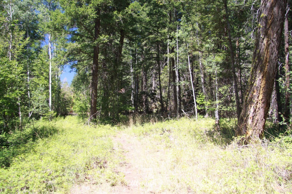 59 Lost River Road Mazama, WA 98833 - Photo 8 of 22 Gallery Image 8