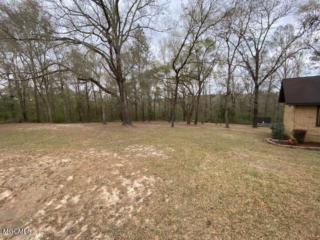 194 Elbert Stringer Lane Lucedale, MS 39452 - Photo 3 of 26 IMG_4362