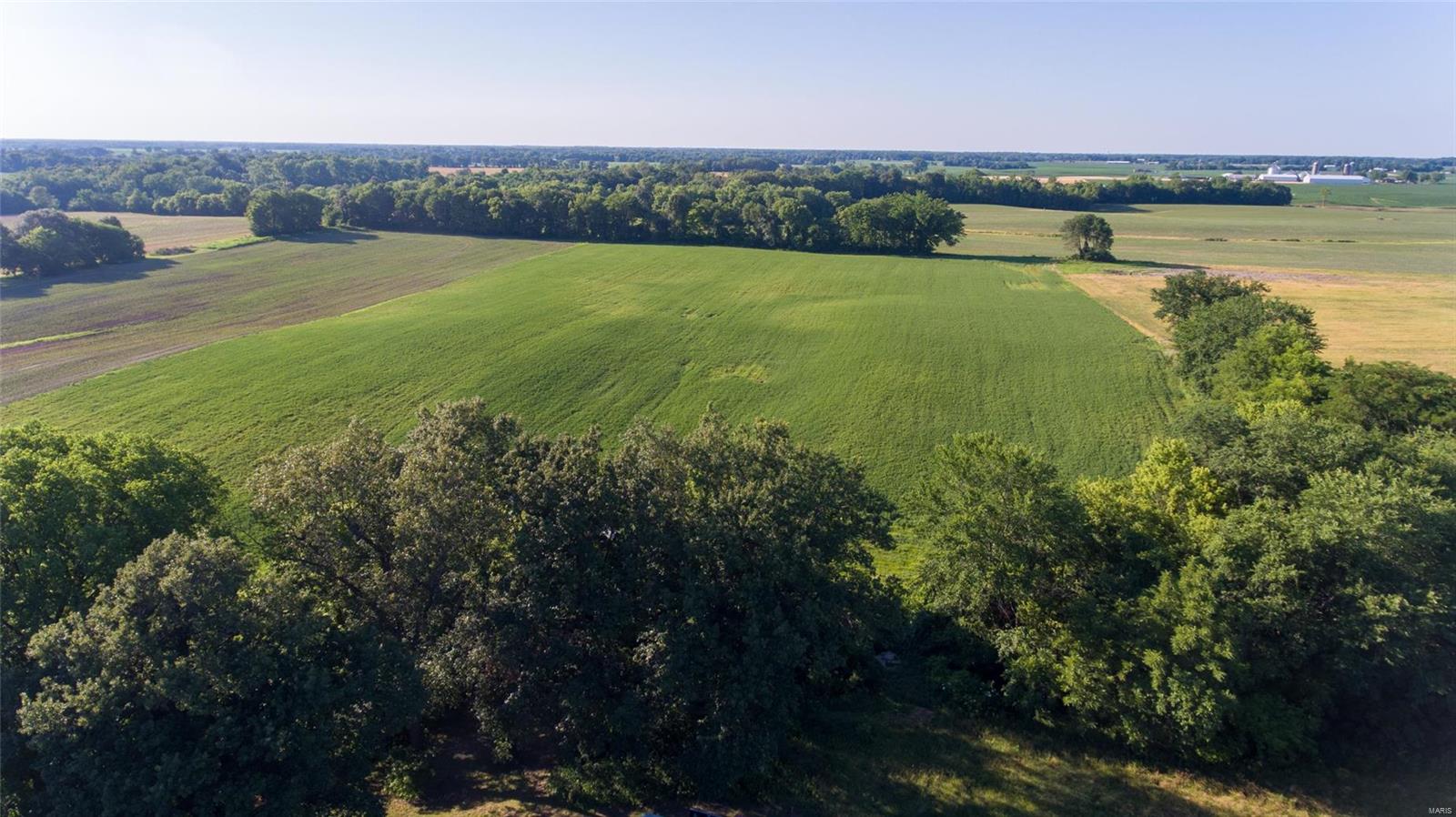 0 Moro Road Moro, IL 62067 - Photo 2 of 15