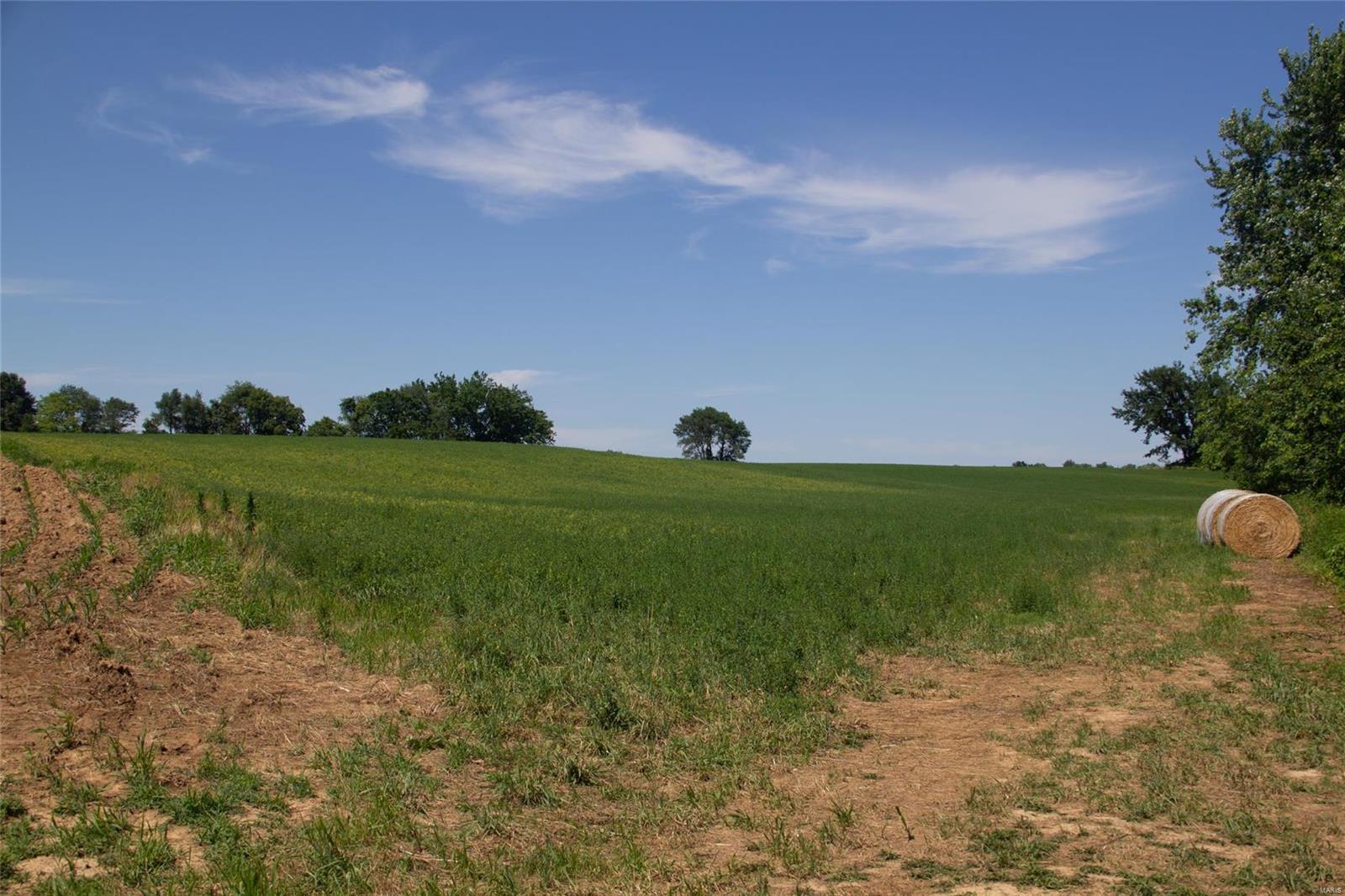 0 Moro Road Moro, IL 62067 - Photo 4 of 15