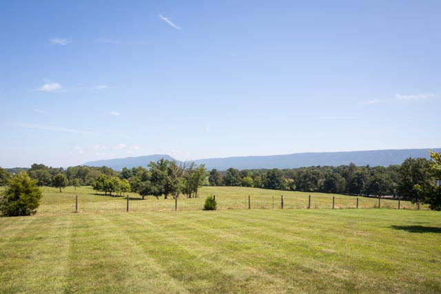 2408 River Road New Market, VA 22844 - Photo 13 of 16 a view of a field with trees in the background