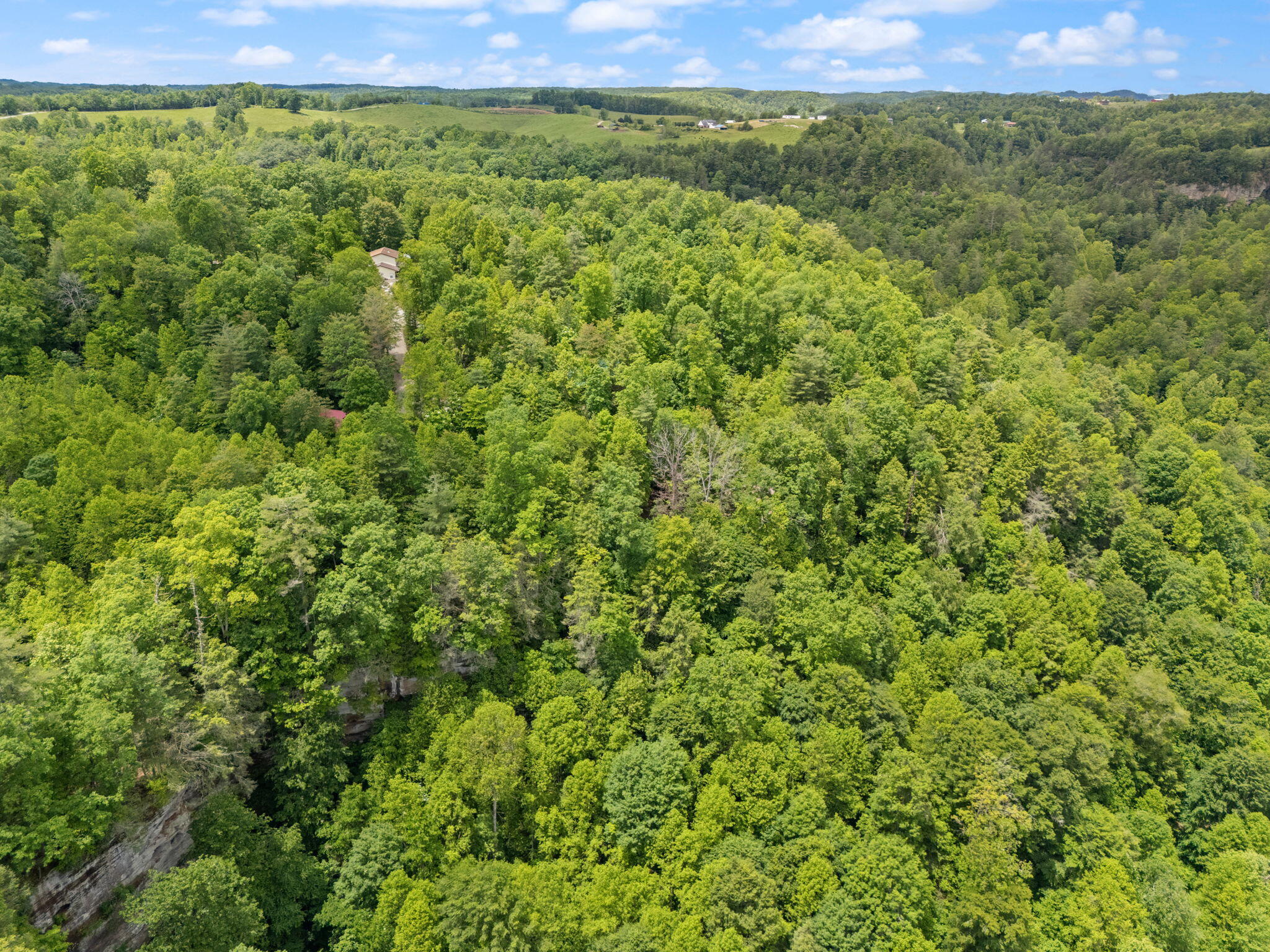 222 Muir Road Rogers, KY 41365 - Photo 38 of 41 62-web-or-mls-DJI_20250528132811_0060_D