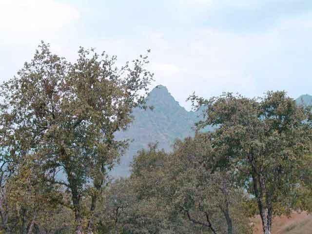 Three Rivers Ca Three Rivers, CA 93271 - Photo 3 of 7 Buckhorn Tr sm for web_03