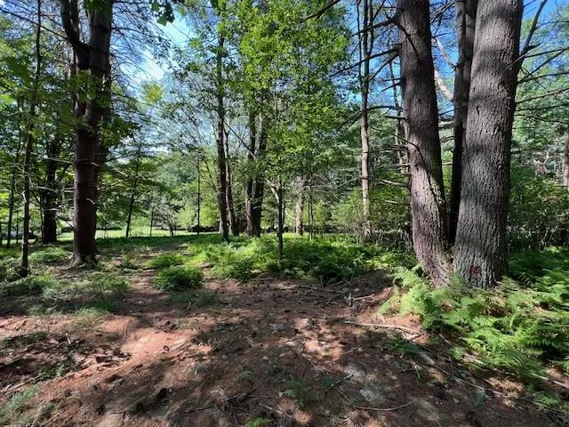 $25,900 | Lot 47.3 High Road, Glen Spey, NY 12737