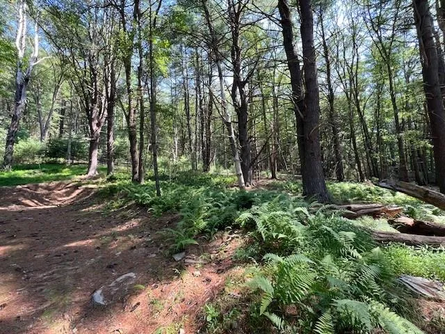 $25,900 | Lot 47.3 High Road, Glen Spey, NY 12737
