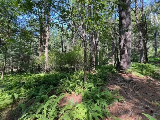 $25,900 | Lot 47.3 High Road, Glen Spey, NY 12737
