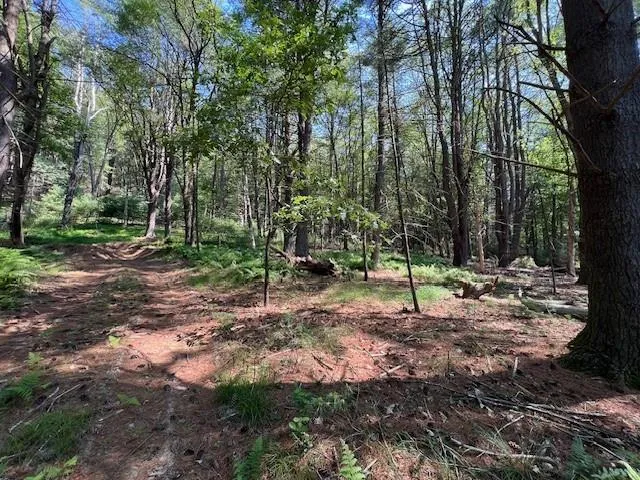 $25,900 | Lot 47.3 High Road, Glen Spey, NY 12737
