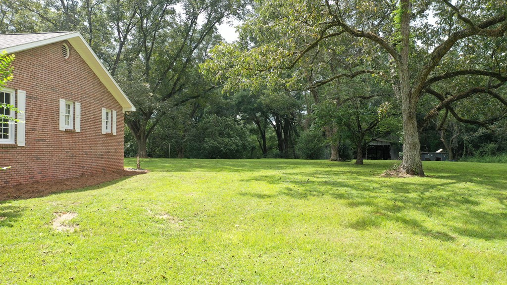 114 Leslie Road Coffee Springs, AL 36318 - Photo 12 of 64