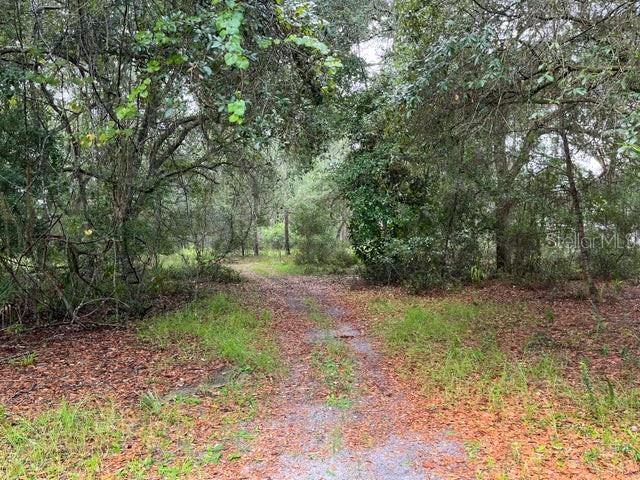 121 Hampton Drive Georgetown, FL 32139 - Photo 1 of 1 Gallery Image 1
