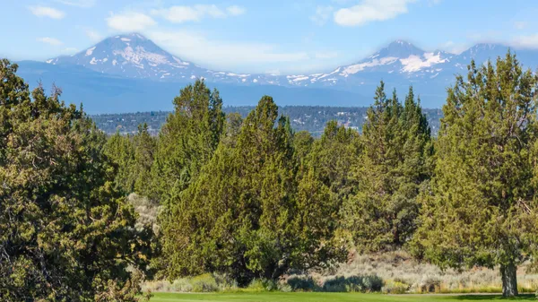 $299,900 | 65610 Ghost Tree Court, Unit 317, Bend, OR 97701