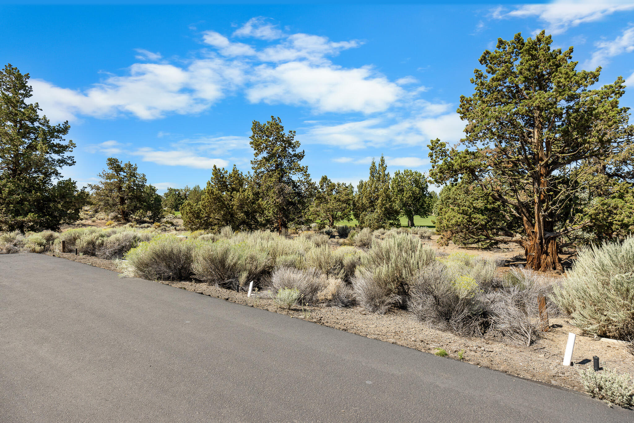 65610 Ghost Tree Court, Unit 317 Bend, OR 97701 - Photo 5 of 10 _52A8140