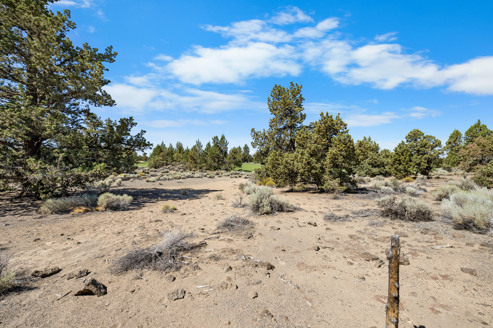 65610 Ghost Tree Court, Unit 317 Bend, OR 97701 - Photo 6 of 10 _52A8143