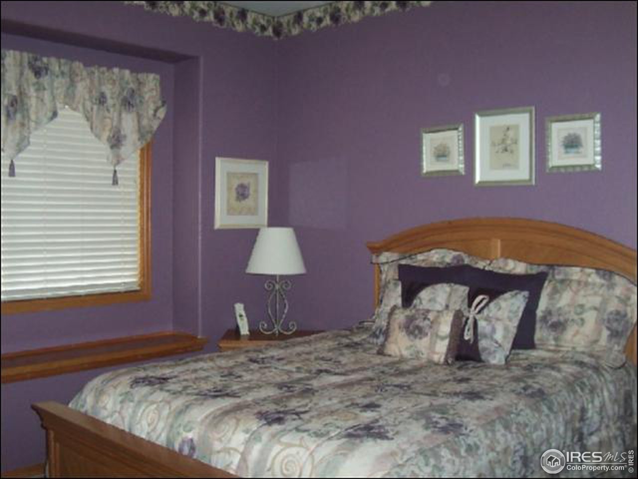 1480 Falcon Ridge Road Eaton, CO 80615 - Photo 8 of 11 Gallery Image 8