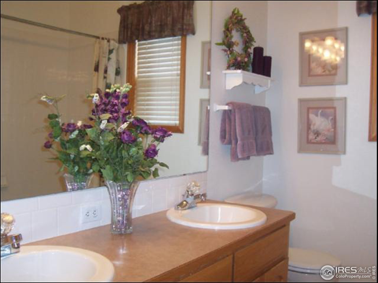 1480 Falcon Ridge Road Eaton, CO 80615 - Photo 10 of 11 Gallery Image 10