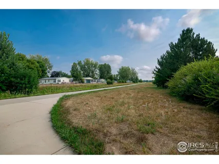 a view of a big yard with large trees