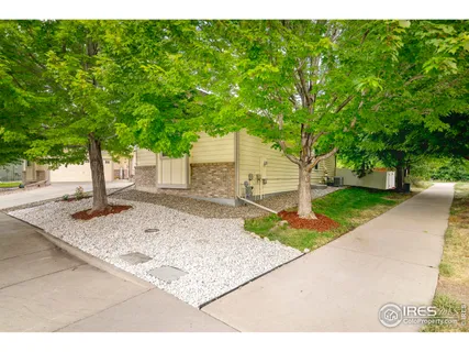 a view of a backyard with a tree