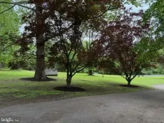a view of outdoor space with trees