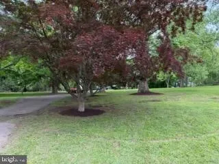 a view of outdoor space with trees