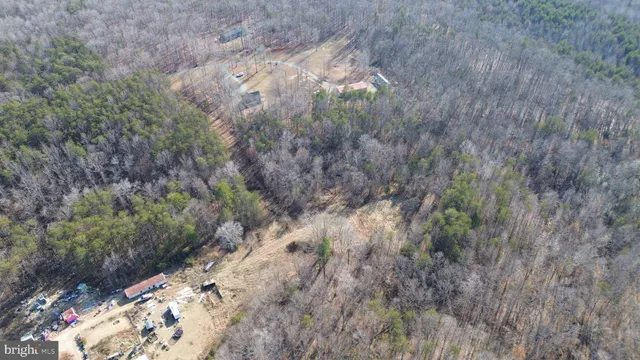 a view of a dry yard with trees