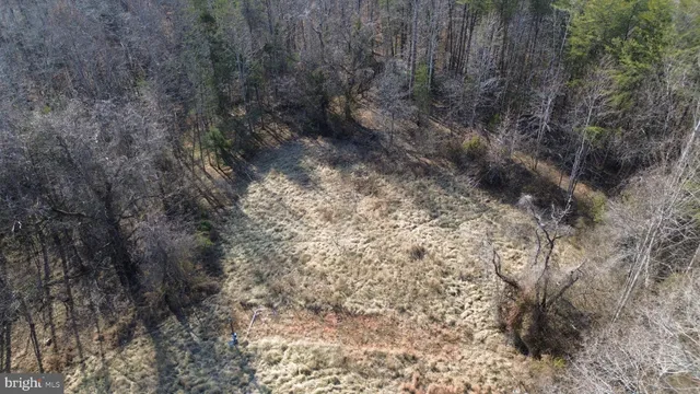 a view of a dry yard with trees