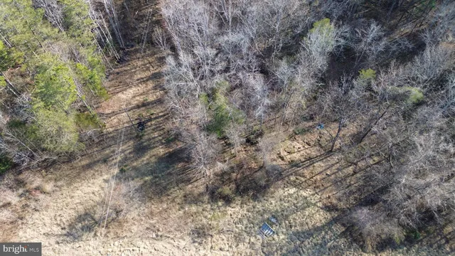 a view of a yard with trees