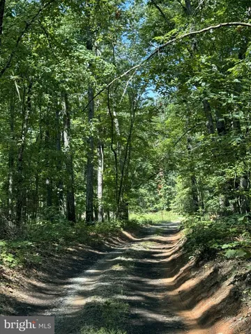 a view of a green field with lots of bushes