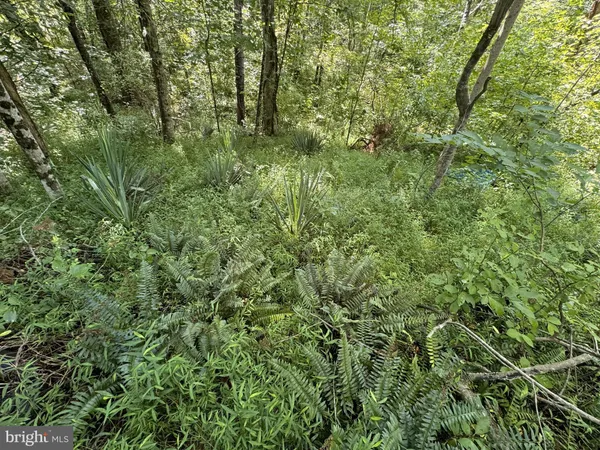 $64,750 | 398 Bayles Lane, Louisa, VA 23093