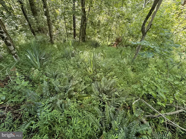 a view of lake with green space