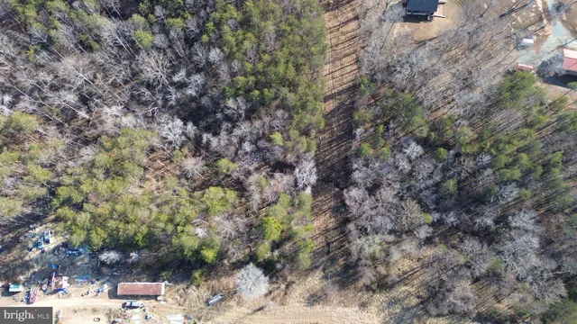 a view of a dry yard