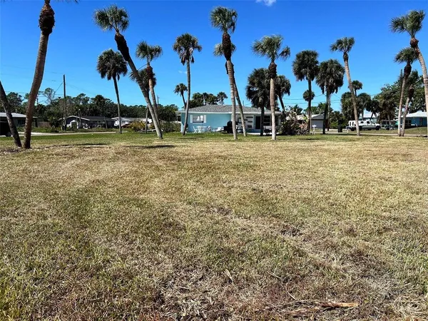 a view of outdoor space with lots of palm trees