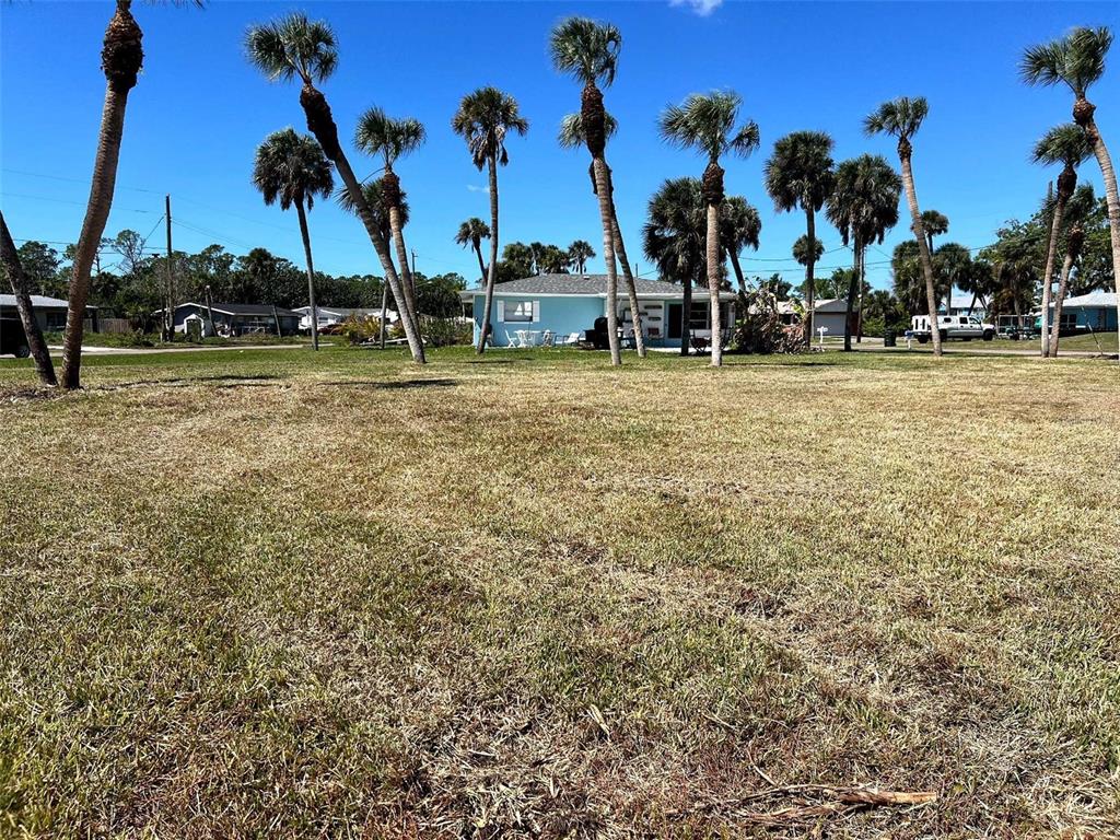 Rose Drive Venice, FL 34293 - Photo 5 of 5 a view of outdoor space with lots of palm trees