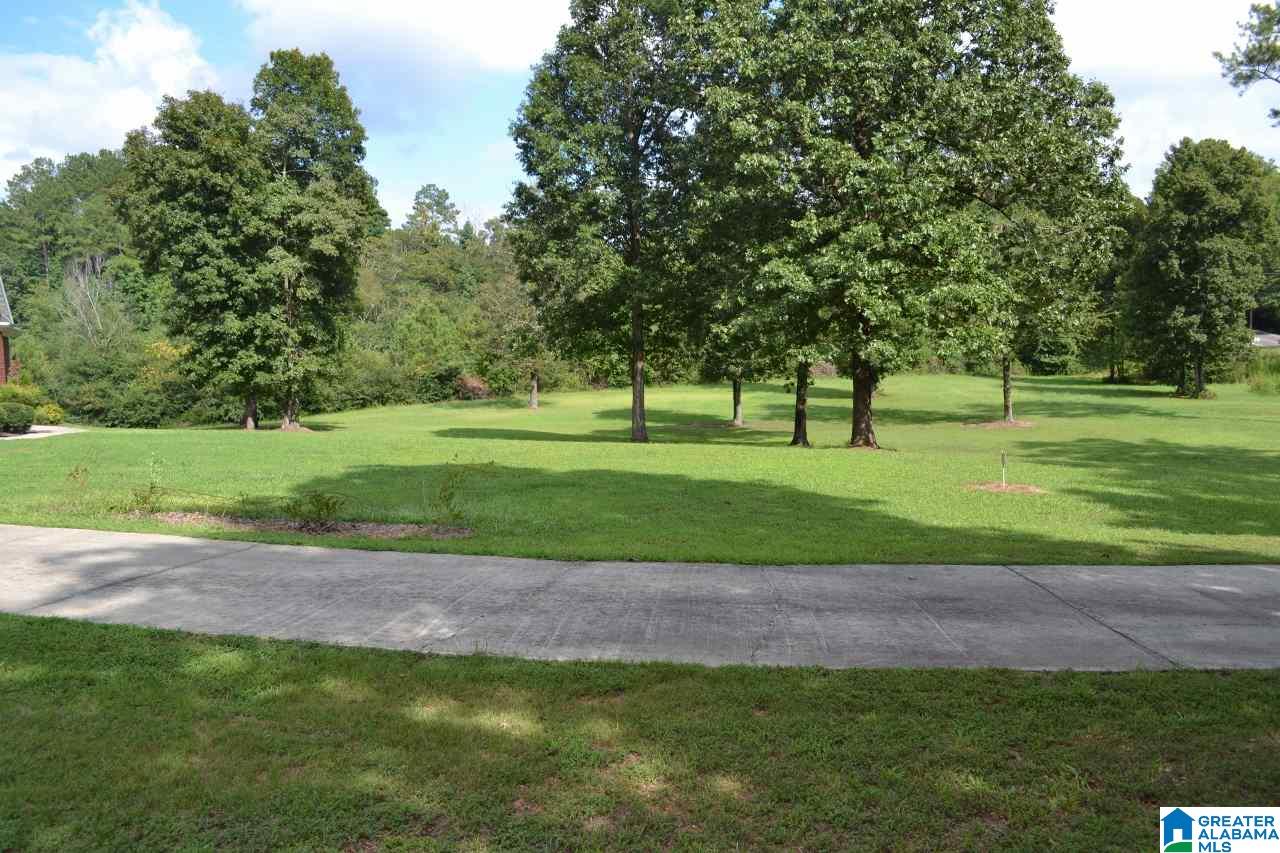 1651 Brookside Coalburg Road Mount Olive, AL 35117 - Photo 18 of 20
