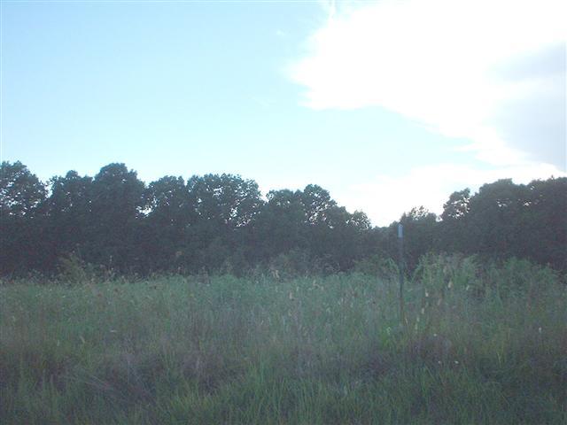 0 Fire Tower Road Erin, TN 37061 - Photo 1 of 3 Gallery Image 1
