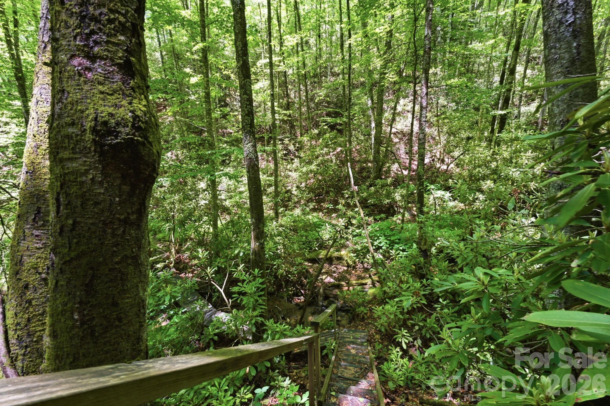 311 Copper Spur Road Maggie Valley, NC 28751 - Photo 42 of 45