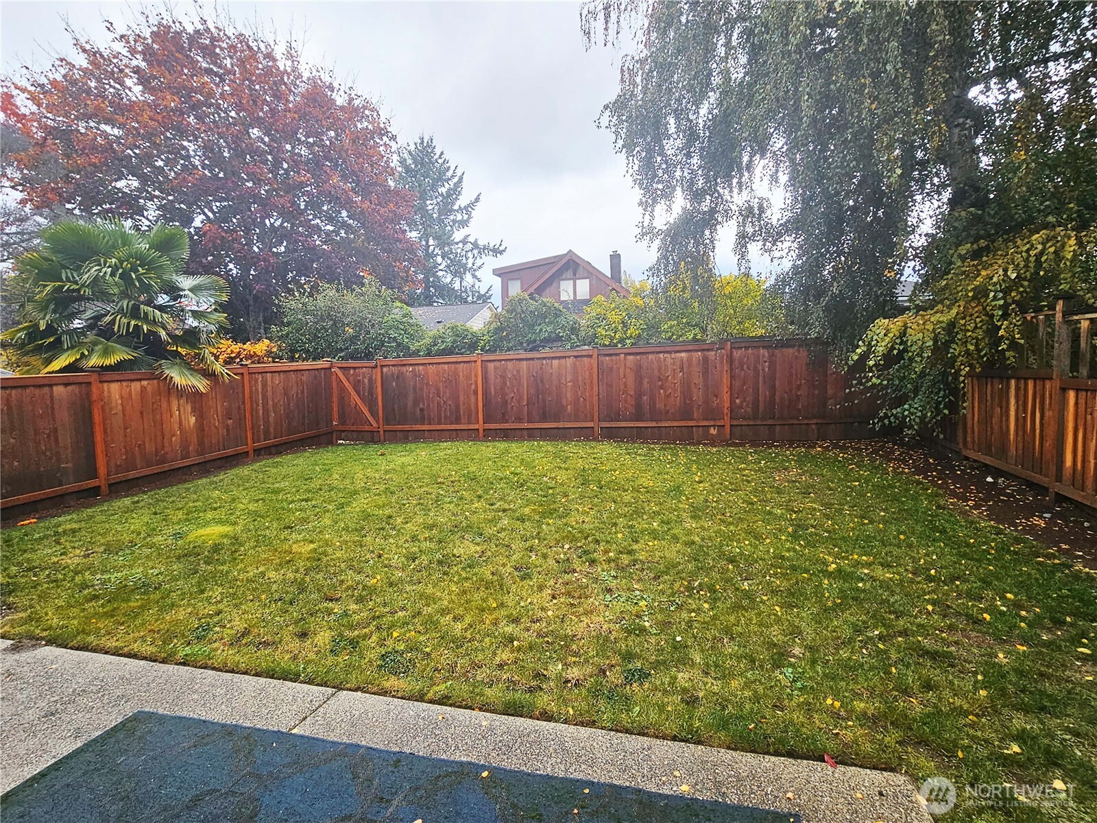 154 Northwest 73rd Street Seattle, WA 98117 - Photo 5 of 37