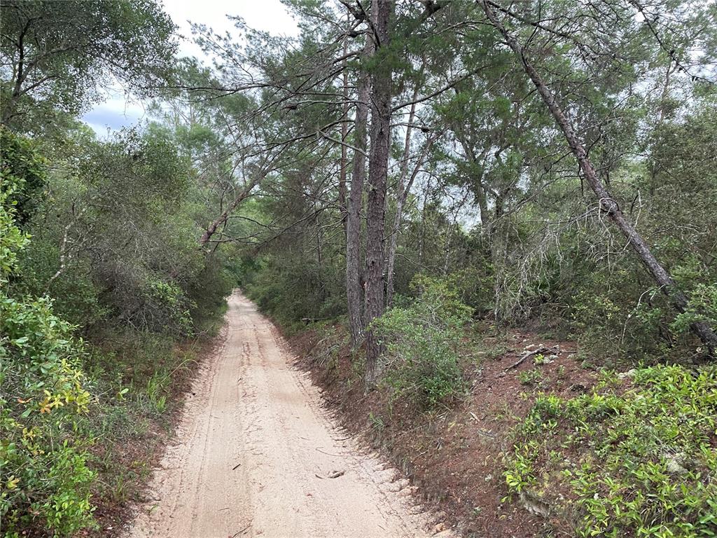 No Name Rd Lake Lake Helen, FL 32744 - Photo 1 of 1 Quiet road is narrow, dirt road - CHANWAY ROAD.
